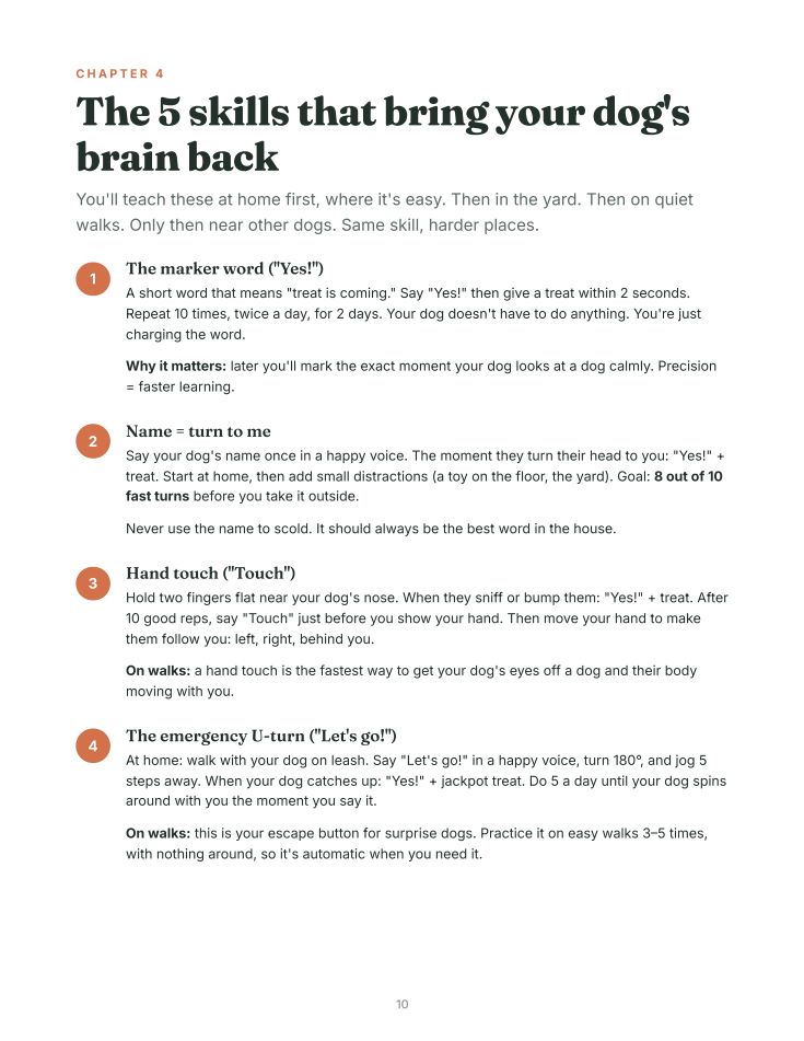 Inside page: the 5 skills